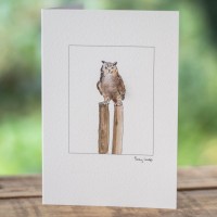 Owl Eagle on a post card