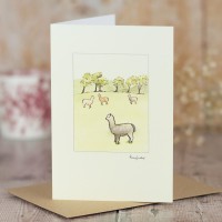 Alp6 - Alpacas in a field 