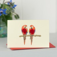 Mini Parrots card