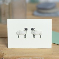 Mini Sheep Norfolk Horn card