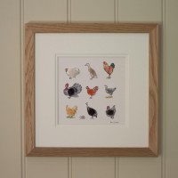 Assorted Poultry print