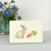 Mini Rabbit Dutch and carrots