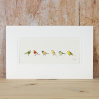 Garden Birds print
