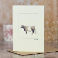 Cow Belted Galloway card