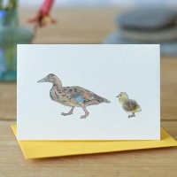 Mini Duck Mallard and duckling card