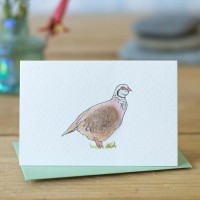 Mini Partridge card