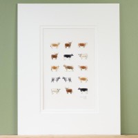 Limited Edition Print of 15 Cows print