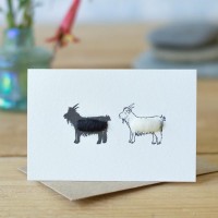 Mini Goats Cashmere card