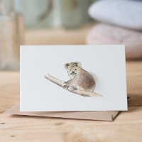 Mini Koala card