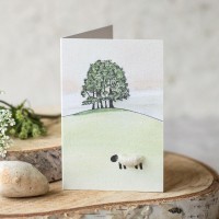 Mini Sheep beneath tree on a hill card
