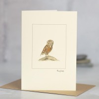 Owl Little card