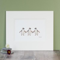 Penguins 3 Jackass penguin