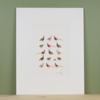 Limited Edition Of Game Birds print