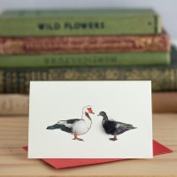 Mini Ducks Muscovy card