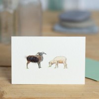 Mini Sheep Soay card