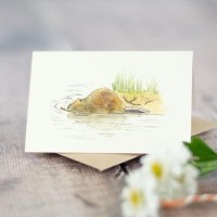 Mini Beaver card