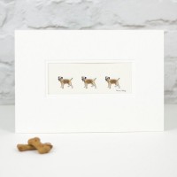 3 Border Terriers print