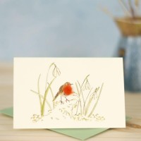 Mini Snowdrops and robin card
