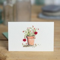 Mini Geraniums in pot card