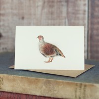 Mini Partridge2 card